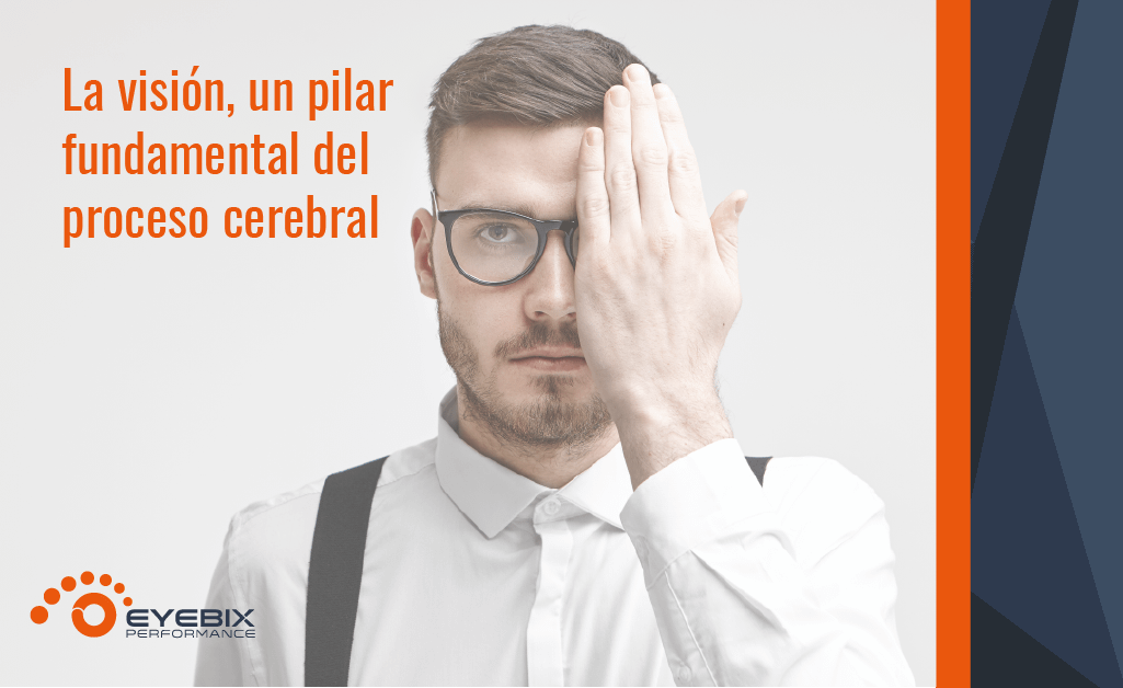 entrenamiento visual cerebro